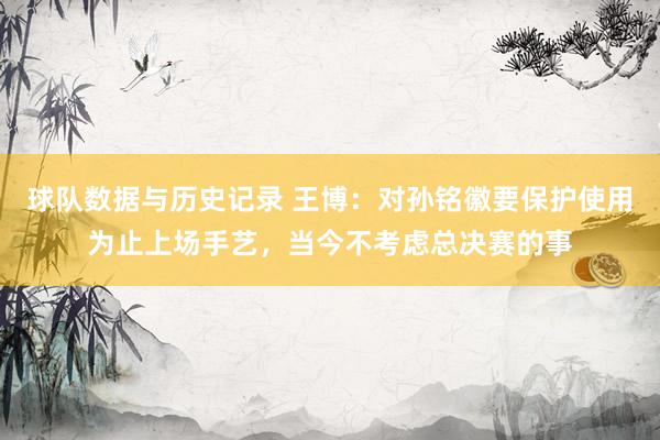球队数据与历史记录 王博：对孙铭徽要保护使用为止上场手艺，当今不考虑总决赛的事
