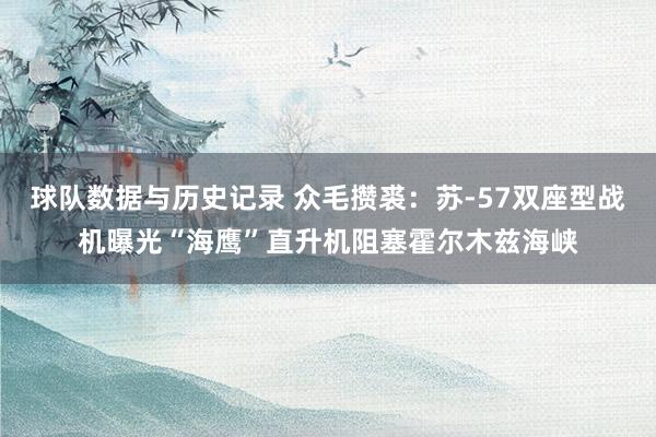 球队数据与历史记录 众毛攒裘:苏-57双座型战机曝光“海鹰”直升机阻塞霍尔木兹海峡