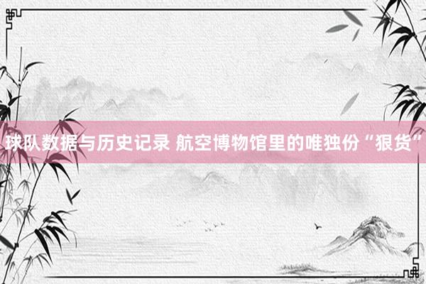 球队数据与历史记录 航空博物馆里的唯独份“狠货”