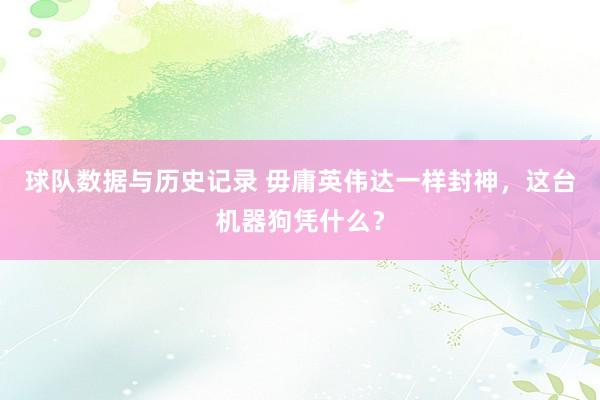 球队数据与历史记录 毋庸英伟达一样封神,这台机器狗凭什么?