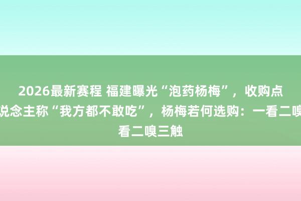 2026最新赛程 福建曝光“泡药杨梅”，收购点工东说念主称“我方都不敢吃”，杨梅若何选购：一看二嗅三触