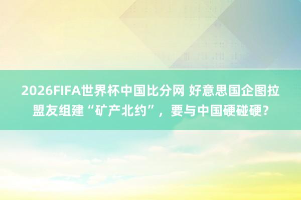 2026FIFA世界杯中国比分网 好意思国企图拉盟友组建“矿产北约”，要与中国硬碰硬？