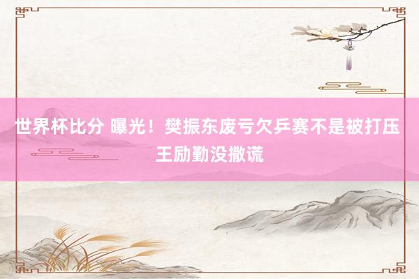 世界杯比分 曝光！樊振东废亏欠乒赛不是被打压 王励勤没撒谎