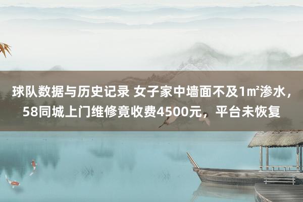 球队数据与历史记录 女子家中墙面不及1㎡渗水,58同城上门维修竟收费4500元,平台未恢复