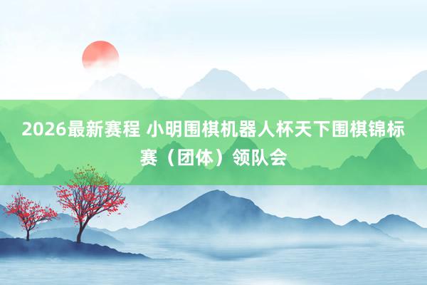 2026最新赛程 小明围棋机器人杯天下围棋锦标赛（团体）领队会