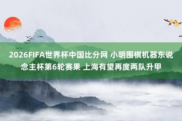 2026FIFA世界杯中国比分网 小明围棋机器东说念主杯第6轮赛果 上海有望再度两队升甲