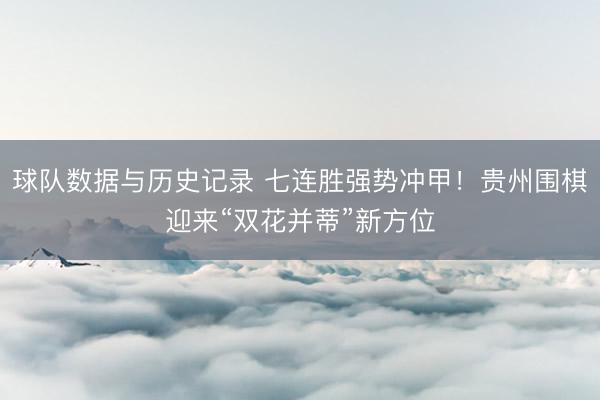 球队数据与历史记录 七连胜强势冲甲！贵州围棋迎来“双花并蒂”新方位